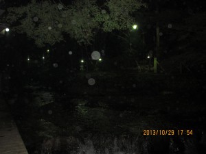 IMG_9100